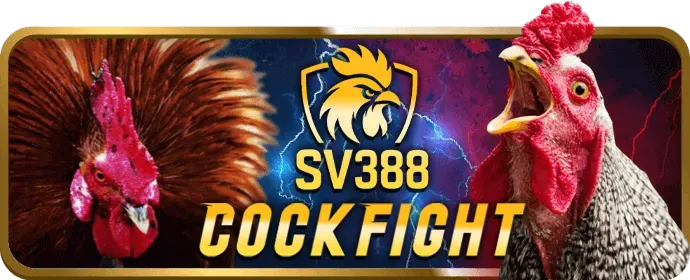 Hỗ trợ trực tuyến 100win Code